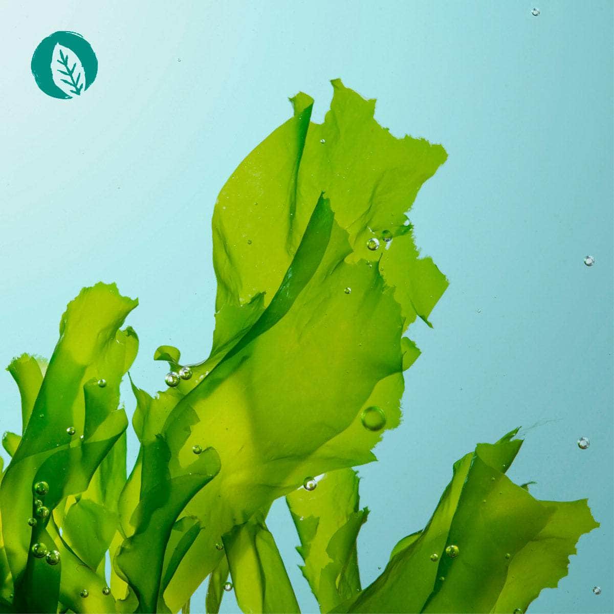 Produktbild 6